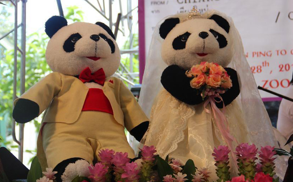 Thai-born panda "Lin Bing" to come back to China