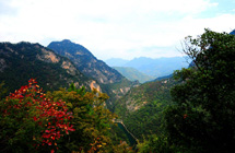 Jinsi Gorge