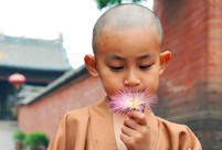 4-year-old cute 'monk' spends summer holiday in temple
