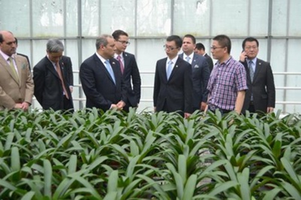 President of the Colombian Congress and Senate José David Name Visits Shanghai Flower Port