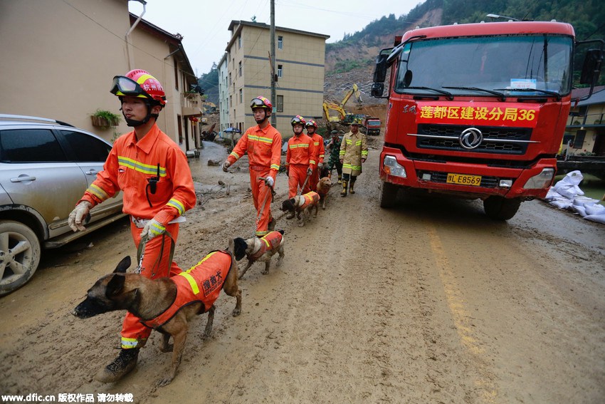 Sniffer dogs with injuries stick to the mission during landslide rescue