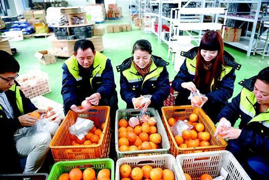 China working to eliminate annual 300 billion yuan loss from post-harvest agricultural products