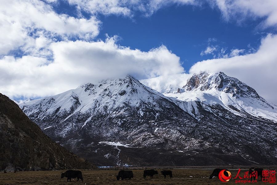 Breathtaking spring scenery in SW ‎China‬'s Tibet