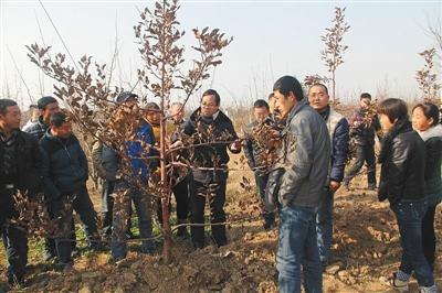 20 professional farmers in China admitted to college