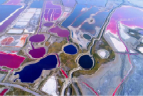 Colors of summer: Yanhu lake transforms into muti-colored pools