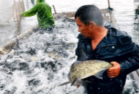Fishing season starts in famed Chihu Lake