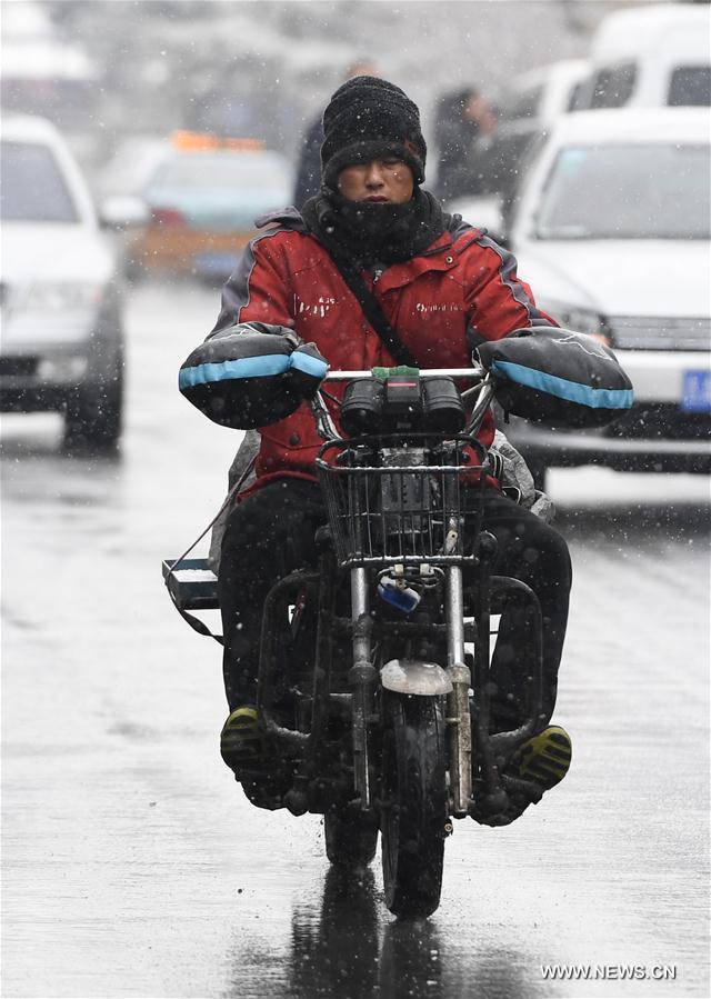 In pics: scenery of snow in NE China