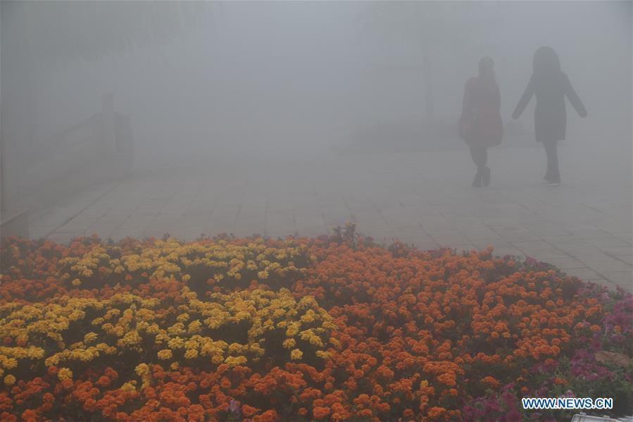 Thick fog hits China's cities