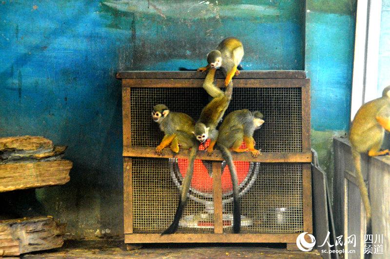 Zoo animals enjoy warm winter with heaters