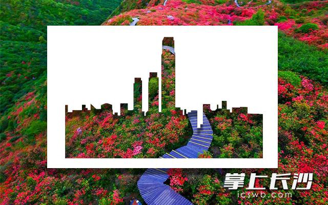 Paper-cuts of Changsha’s landmarks blending with spring scenes