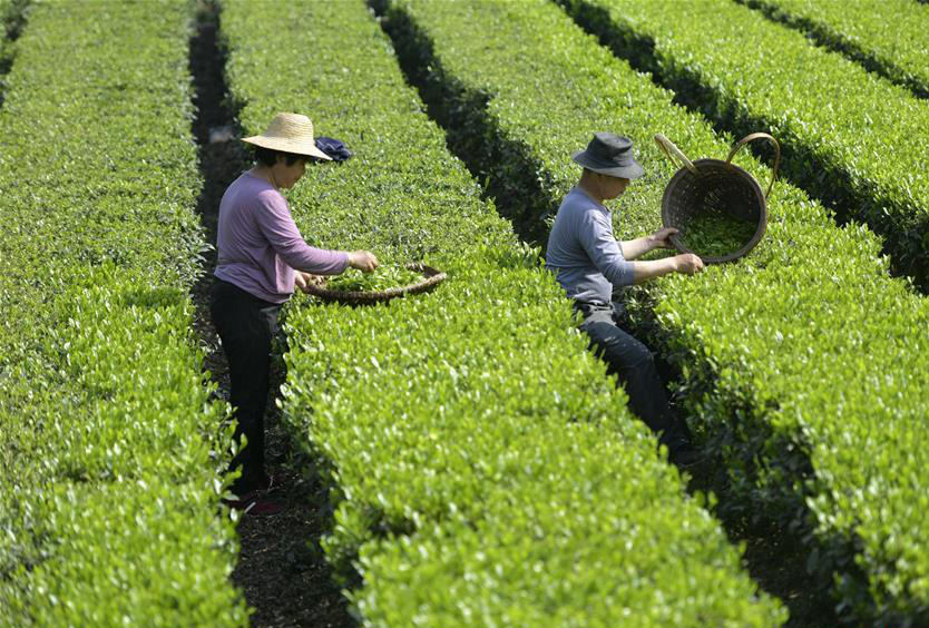 Farm work across China