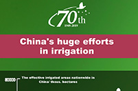 China's huge efforts in irrigation
