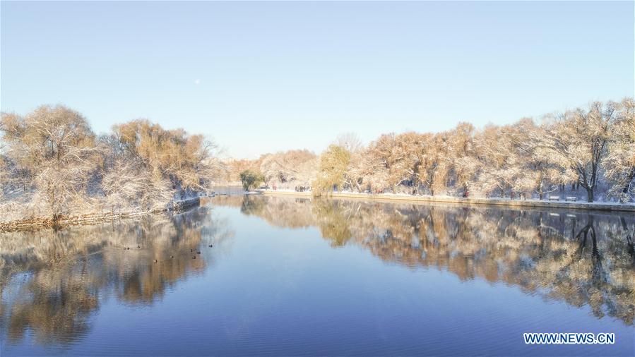 Snow scenery at Beiling park in Shenyang