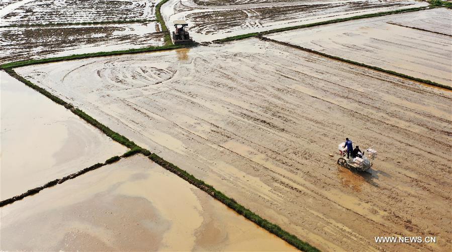 Local farmers busy with spring farming in Nanchang