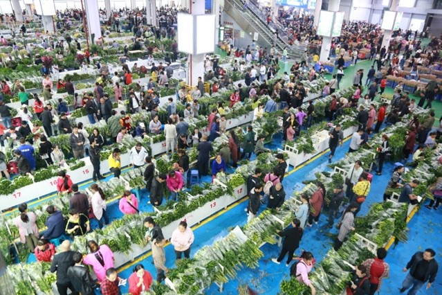 SW China’s Yunnan province develops street market into wind vane of domestic flower market