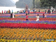 Tourists enjoy themselves amid flowers at Shimen National Forest Park