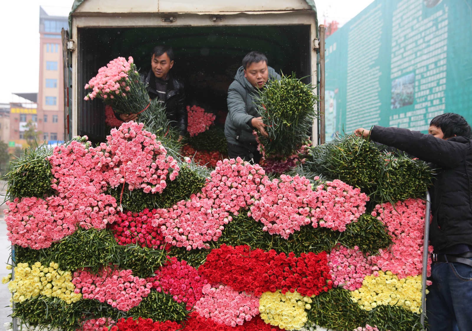 Photo taken on Feb. 9, shows florists preparing fresh flowers at Kunming Dounan Flower Market in Kunming, capital of southwest China’s Yunnan province. (People’s Daily Online/Liang Zhiqiang)