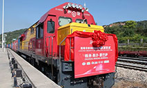 First China-Africa rail-sea express train leaves Hunan
