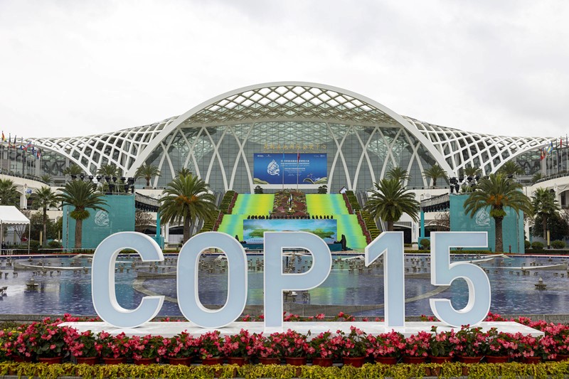 The 15th Meeting of the Conference of the Parties to the Convention on Biological Diversity (COP15) is held in Kunming, southwest China's Yunnan province between Oct. 11 and 15. (People's Daily Online/Weng Qiyu)