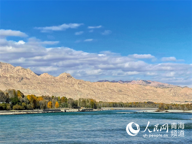 In pics: picturesque autumn scenery along Yellow River in NW China’s Qinghai