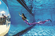 Mermaid divers pursue dreams in the deep
