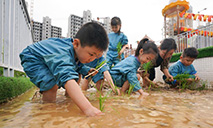 Children experience rice transplanting in Jiangxi