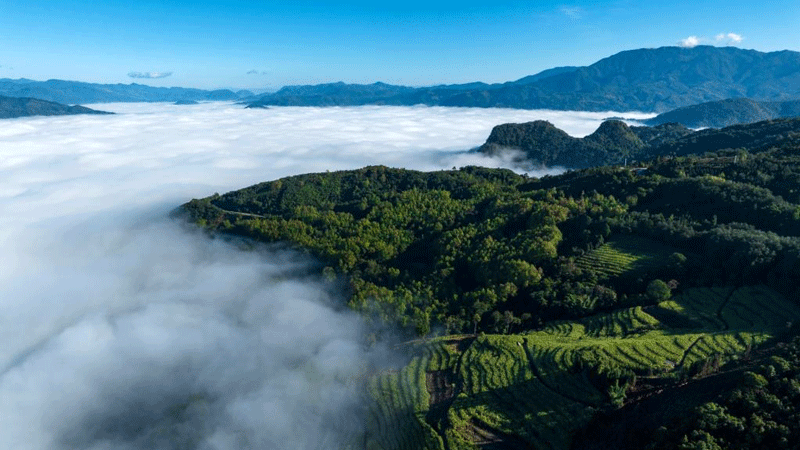 Sea of clouds in Lincang City of SW China's Yunnan