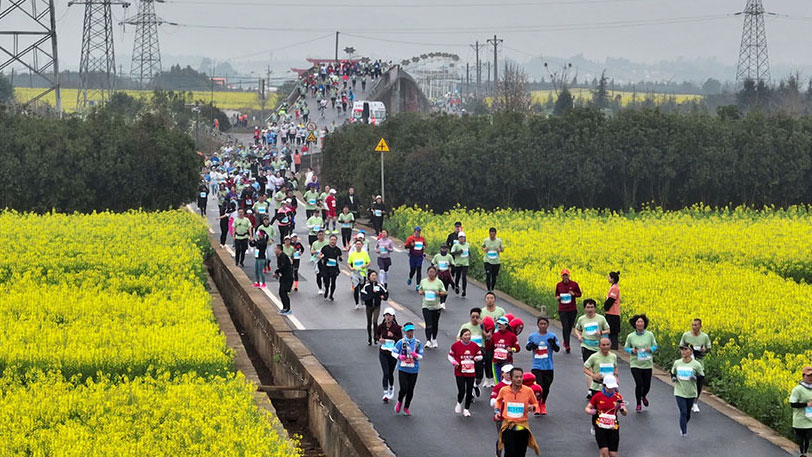 Marathon race held amidst sea of rapeseed flowers in SW China's Yunnan