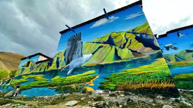3D paintings add beauty to village in SW China's Xizang