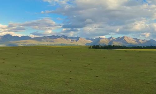 Idyllic Kalajun Grassland in Xinjiang a feast for eyes