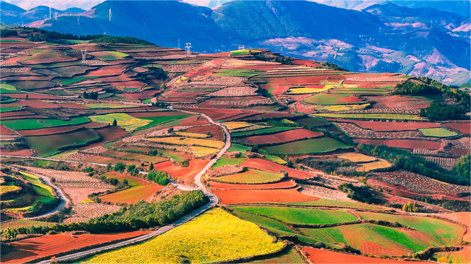 In pics: Colorful terraced fields in SW China's Yunnan resemble palette