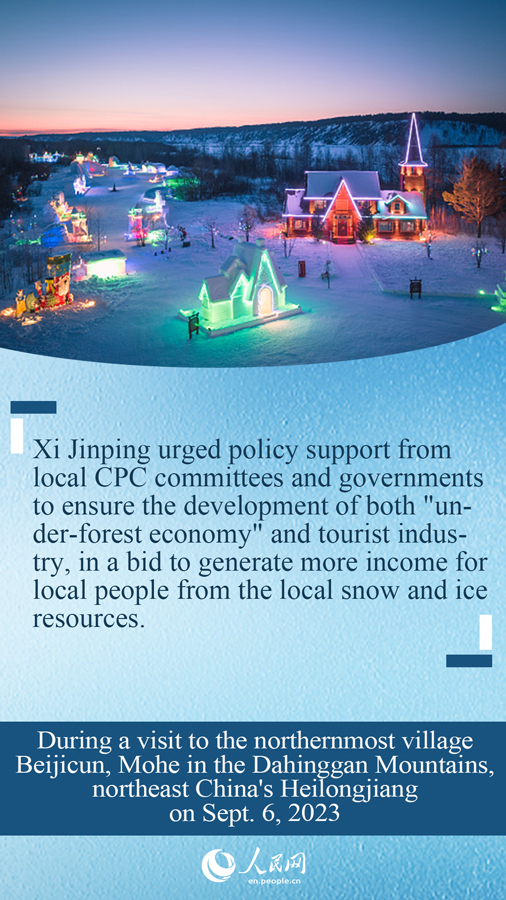 Infographics: President Xi's instructions on China's development of ice and snow economy