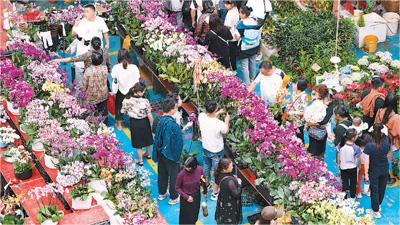 Thriving flower industry boosts tourism in SW China's Yunnan