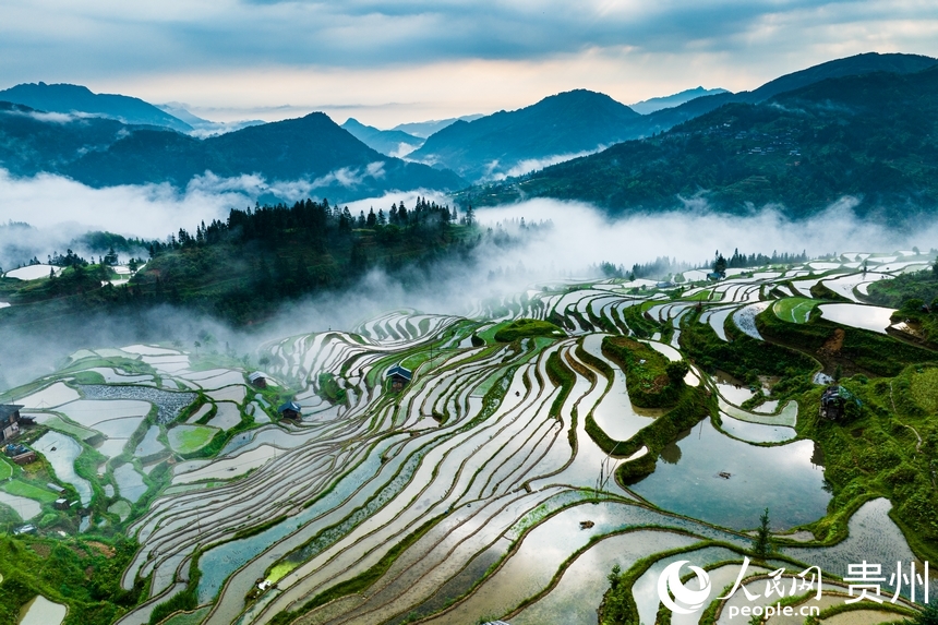 In pics: Spring farming underway in Jiabang terraced fields in SW China's Guizhou