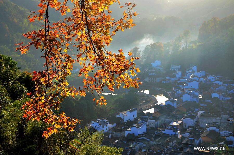 Photo taken on Nov. 11, 2012 shows the scenery in Changxi Village in Wuyuan County, east China's Jiangxi Province. Maple leaves in Changxi turned red recently, attracting numbers of visitors. (Xinhua/Dai Xiangyang)  
