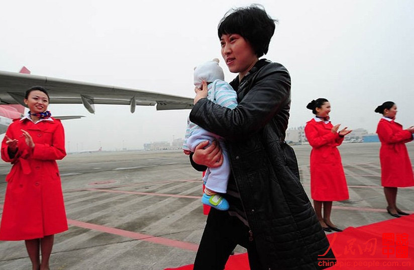 Jiang Min, a deputy to the 18th National Congress of the Communist Party of China from Sichuan, is going to board the plane to Beijing to attend the Congress with her four-month-old daughter. (Photo/ People’s Daily Online) 