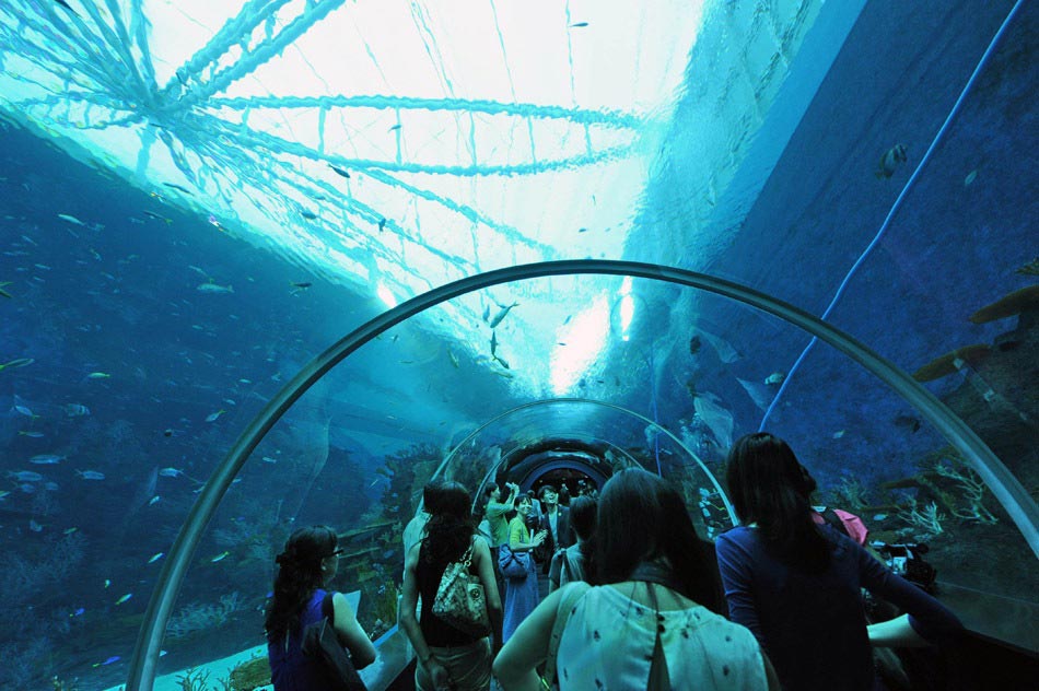 Guests walk through the South East Asia aquarium, in Sentosa Resort World Marina Life Park in Singapore on Nov. 22, 2012. (Xinhua/AFP)