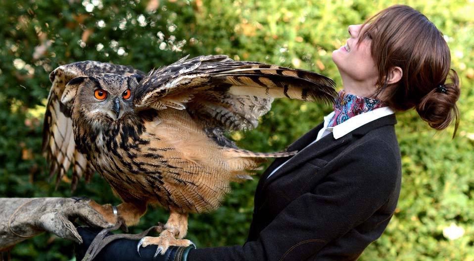 A flapping owl wings an innocent bystander at a press conference for the upcoming "Horse and Hunting" trade fair in Hanover, Germany. (Xinhua/AFP)