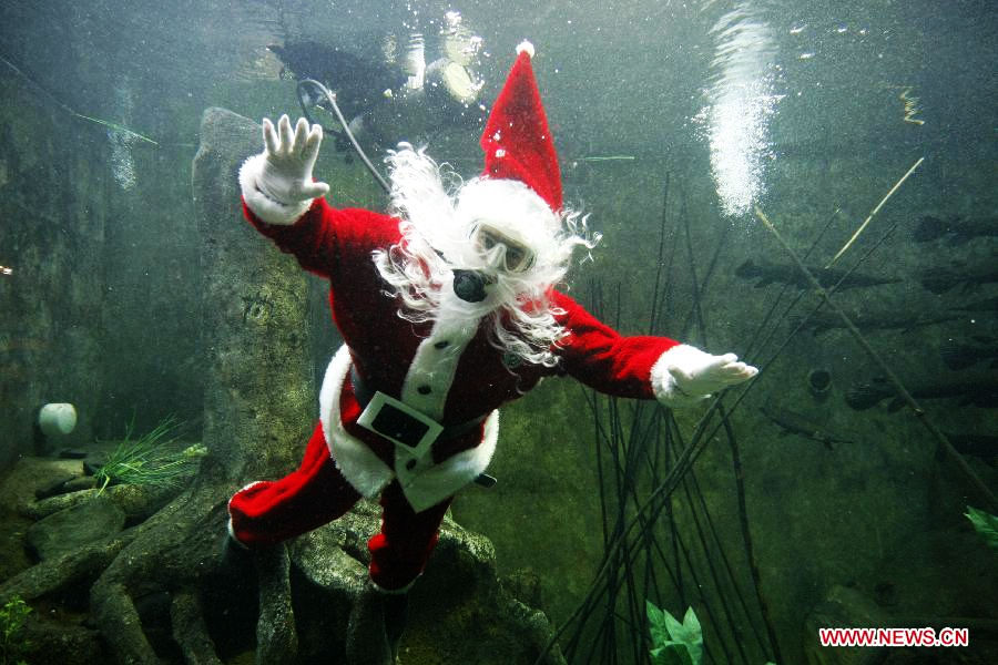 A man dressed as Santa Claus dives in a fish tank aquarium at the Guadalajara Zoo in Guadalajara City, Jalisco, Mexico, Dec.(Photo/Xinhua)