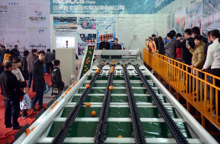 The fourth international orange festival was held in gold square of Ganzhou, Jinagxi on Nov. 29. This event fully displayed orange industry of Ganzhou, which includes oranges' production, processing, sales, technology and mechanical equipment and so on. (Xinhua/Zhou Ke)