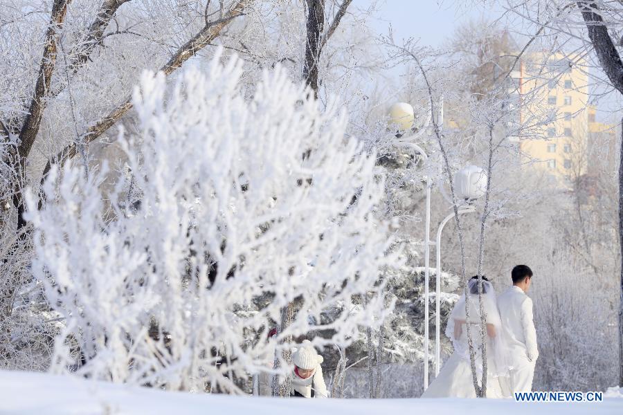 Newlyweds pose for wedding photos with the scenery of rime at Riverside Park in Jilin City, northeast China's Jilin Province, Dec. 5, 2012. (Xinhua) 