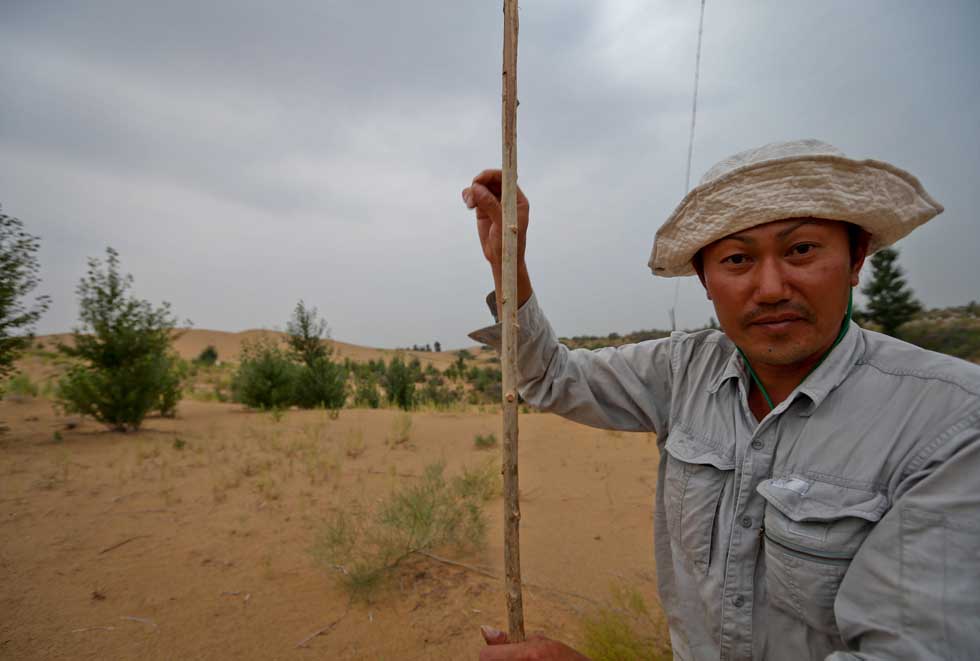 Mase Hiroki plans an area to plant trees in the desert in Engebei, Ordos, north China's Inner Mongolia Autonomous Region, Aug. 25, 2012.(Xinhua/Xie Xiudong)