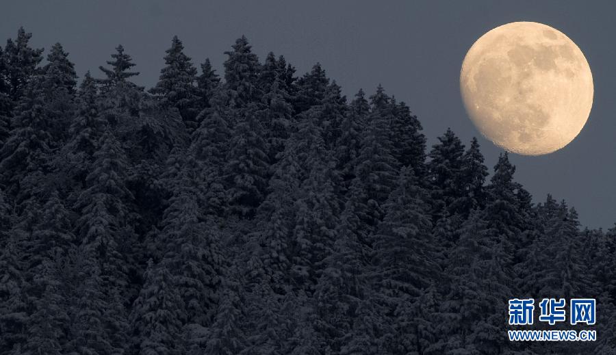 The bright moon in the sky over a forest in Germany on Feb. 5, 2012.  (Xinhua/AFP Photo) 