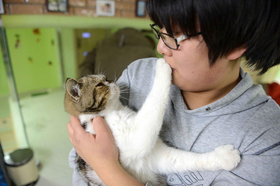 Gao Ming plays with a cat in Harbin, Heilongjiang province, Dec. 13, 2012. After graduating from university, Gao set up a cat café, hoping to make friends with cat-lovers and raise the public’s awareness of how to raise cat in scientific way. (Xinhua/Wang Kai) 