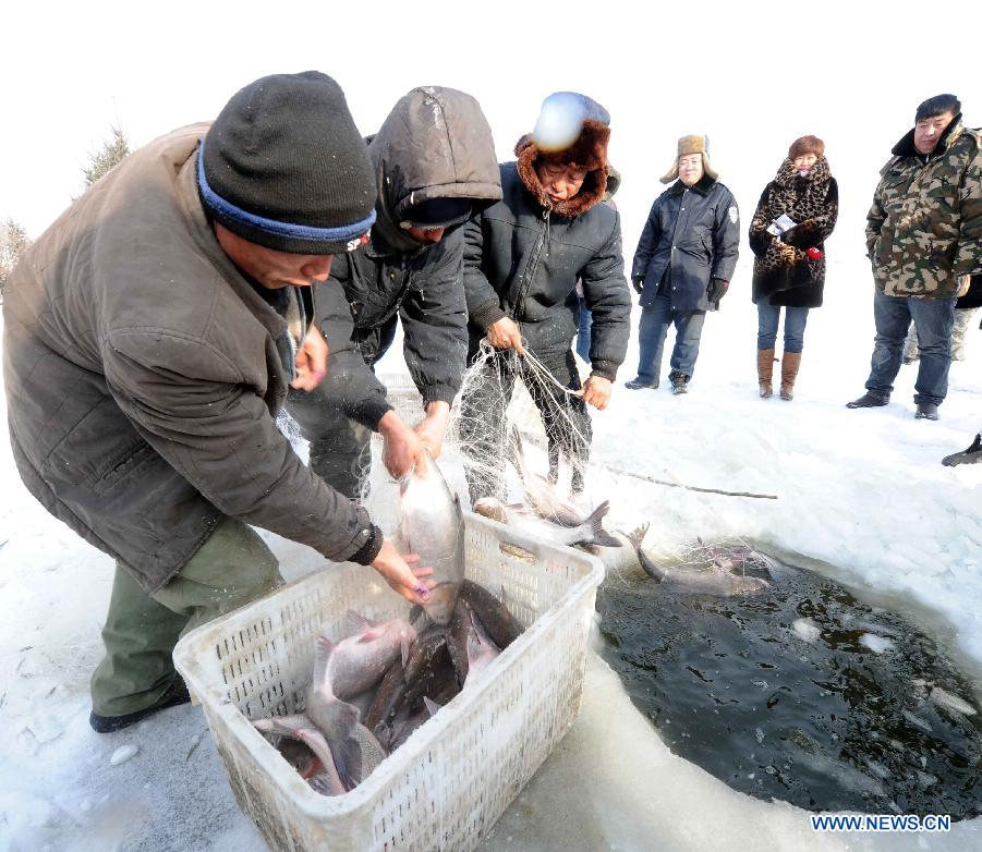 Staff members do trial fishing in the run-up to a winter fishing festival on the frozen surface of Changling Lake, Harbin, capital of northeast China's Heilongjiang Province, Dec. 24, 2012. Each year, the fishery of Changling Lake turns out 100,000 kilograms of commercial fish. (Xinhua/Wang Song)