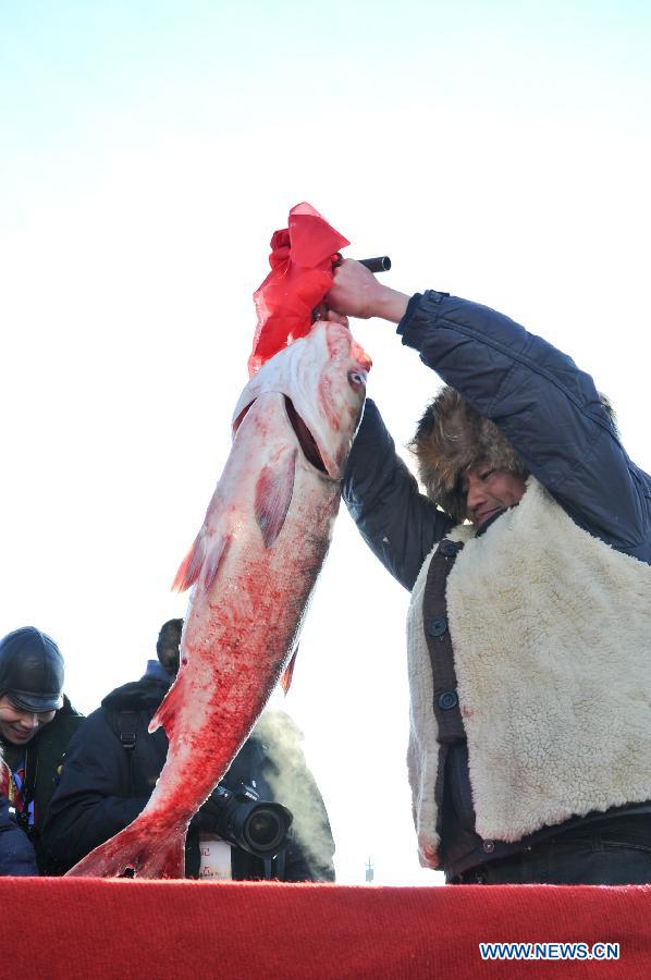 A fisherman shows the first caught fish during an ice fishing event in the Chagan Lake in Qian Gorlos Mongolian Autonomous County, northeast China's Jilin Province, Dec. 27, 2012. (Xinhua/Ma Caoran)