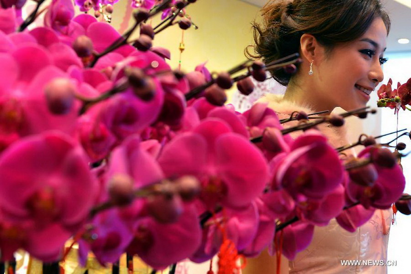 A model presents flowers at a press conference aimed at promoting the upcoming Seventh Hong Kong Lunar New Year Flower Market in Hong Kong, south China, Jan. 2, 2013. The flower market is to kick off on Jan. 25, 2013. (Xinhua/Chen Xiaowei) 