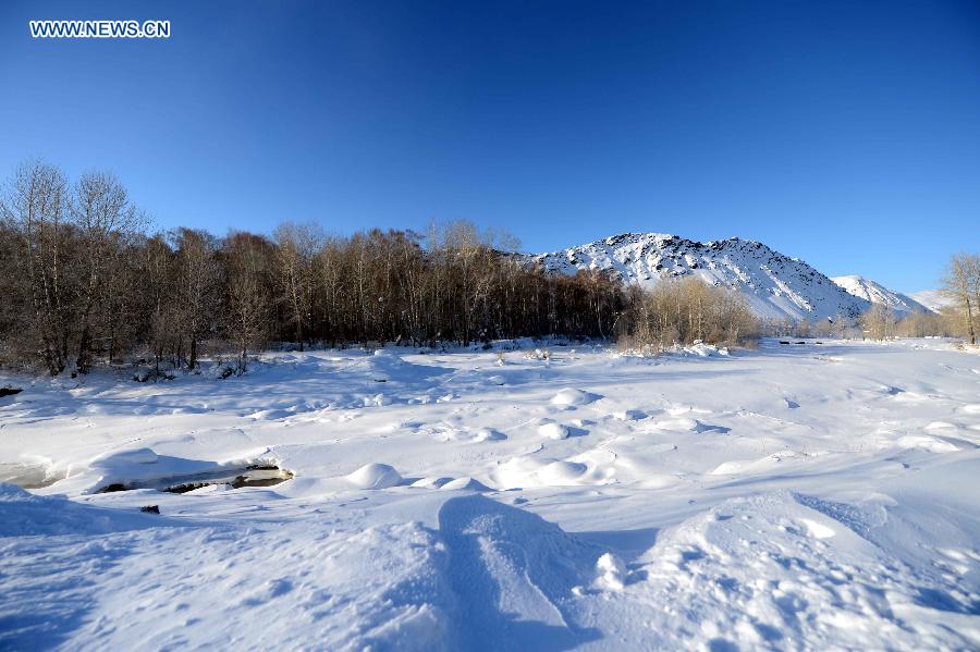 Photo taken on Dec. 28, 2012 shows snow scenery in the suburbs of Altay, northwest China's Xinjiang Uygur Autonomous Region. Beautiful snow scenery here attracts a good many tourists. (Xinhua/Sadat) 