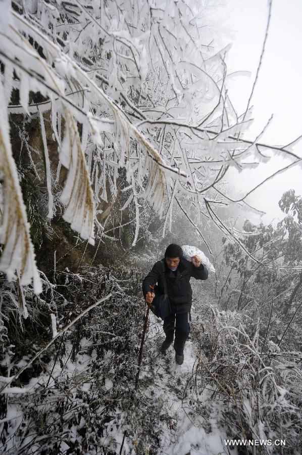 Postman Zhang Meichong walks on a snow-covered mountain road to send letters at a mountainous village in Enshi, central China's Hubei Province, Dec. 23, 2012. Equipped with a stick and two bags, Zhang Meichong, a village postman, has been working in the mountainous area for 15 years and traveled a distance about 180,000 kilometers these years. (Xinhua/Hao Tongqian) 