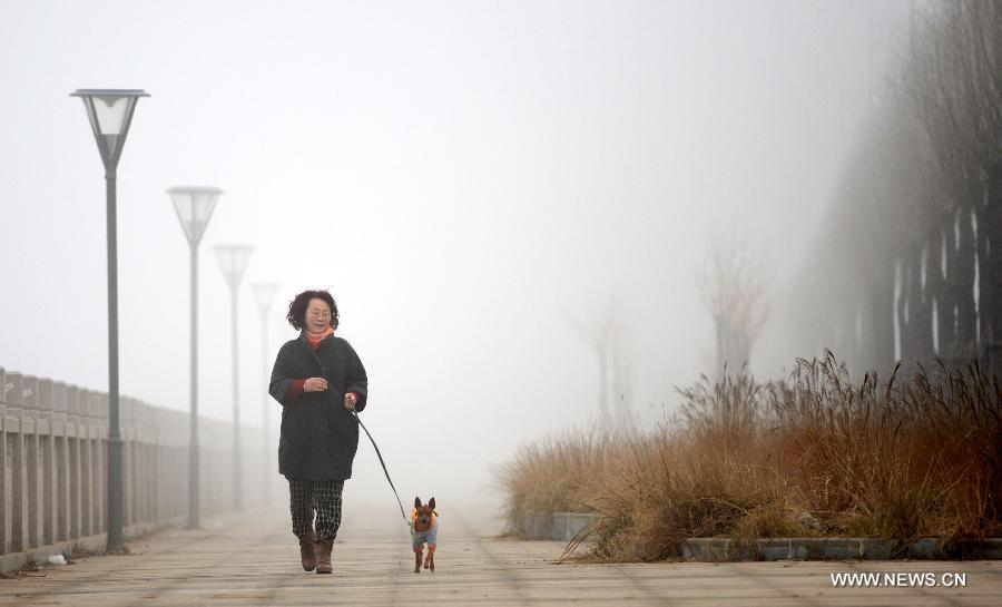 A citizen walks her dog amid dense fog in Nanchang City, capital of east China's Jiangxi Province, Jan. 12, 2013. A fog hit many parts of Jiangxi on Saturday. (Xinhua/Zhou Ke)